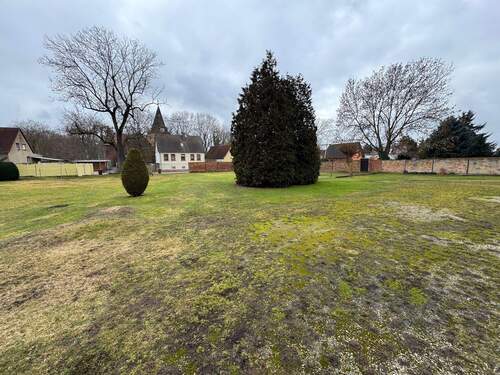 Garten und zweite Einfahrt - 