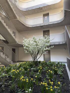 Innenhof - 