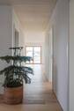 Flur - 