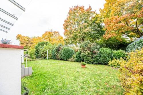 Gemeinschaftsgarten - 