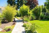 Garten (KI-bearbeitet) - 
