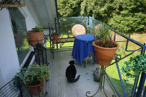 Bild 15 - 