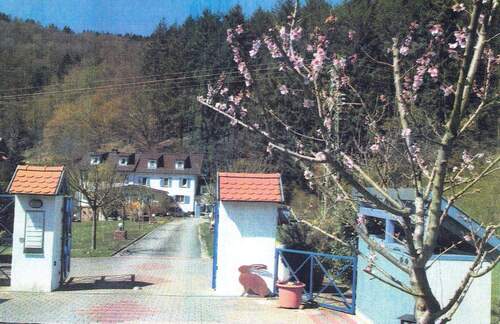 Bild 2 - 1 Zimmer Mehrfamilienhaus, Wohnhaus zum Kaufen in Oberzent / Beerfelden