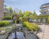 Gemeinschaftsgarten - 