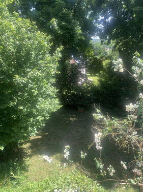 Garten - 