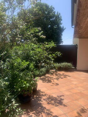 Terrasse - 