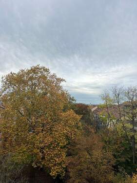 Blick in den Innenhof vom Balkon - 