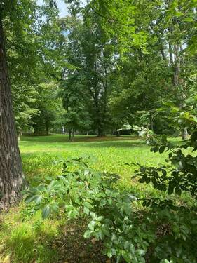 Blick in den gegenüberliegenden Stadtpark - 