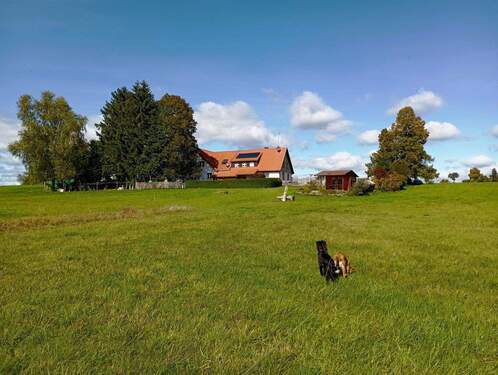 Südansicht - Einmalige Immobilie inmitten des Naturschutzes