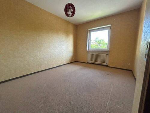 Zimmer1 DG - 