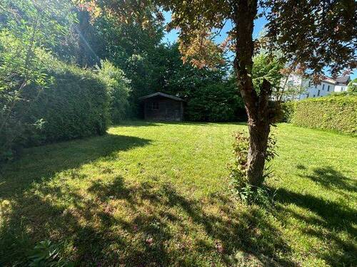 Garten mit Gartenhütte - 