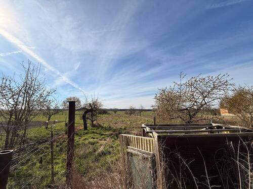 Gartenbereich - 