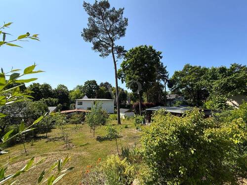 Blick von der Terrasse - 