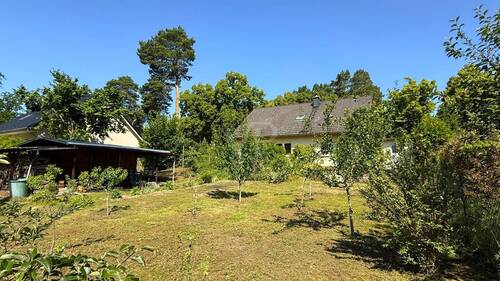 Blick aus dem Garten - 