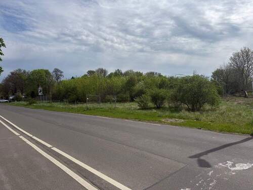 Bild 4 - Grundstück in Zörbig zum Kaufen