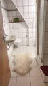 Bild 27 - 
