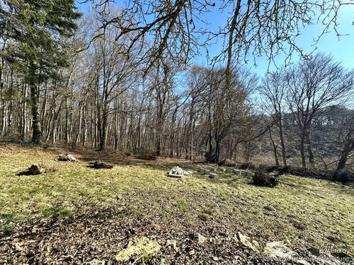 Aussicht Süden - 