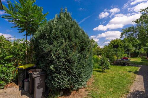 Gartenimpression - 