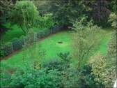 Blick in den Garten - 