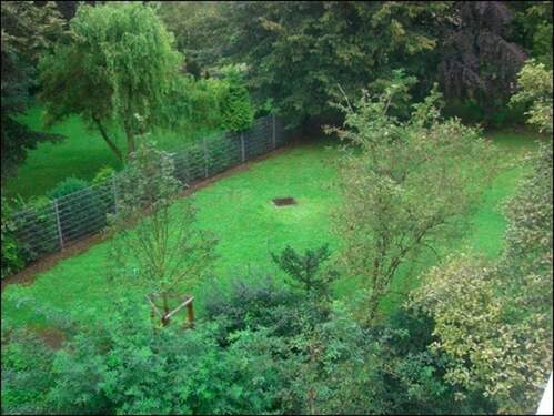 Blick in den Garten - 