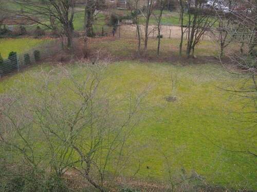 Sicht in den Garten - 