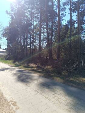 1743745973736.jpg - ruhige ländliche Lage - Mittenwalde OT Töpchin