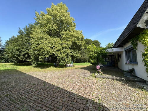 Hof - 