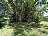 Eingang Wald - 