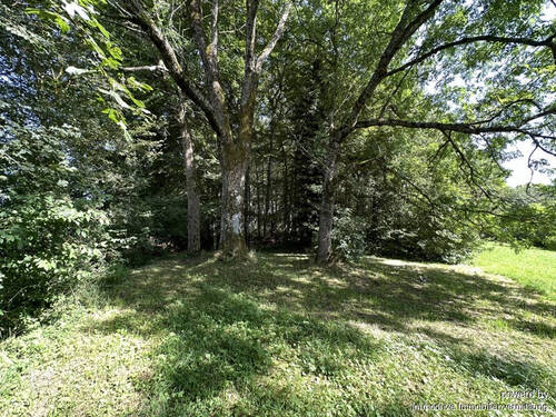 Eingang Wald - 