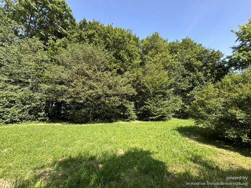 Garten - 