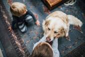 Hier fühlen sich ALLE wohl! - 4 Zimmer Einfamilienhaus zum Kaufen in Großbothen