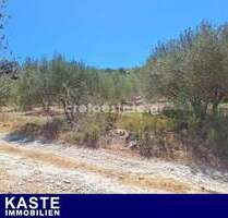 Grundstück mit 2700 m² in Plakoures Faneromeni auf Kreta zu verkaufen - ?????????