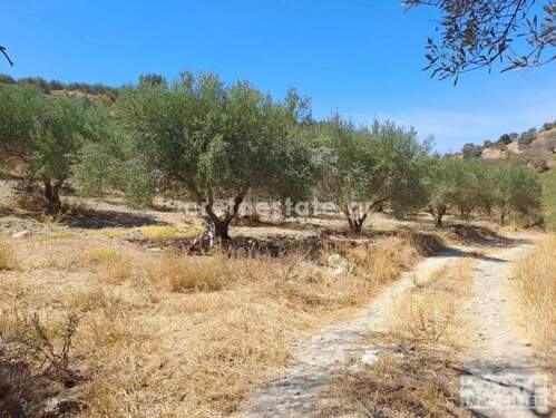 Aussenansicht - Grundstück zum Kaufen in ?????????