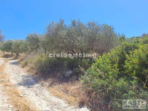 Aussenansicht - Grundstück in ????????? zum Kaufen