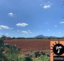 Exklusives Finca - Baugrundstück auf Mallorca - Felanitx