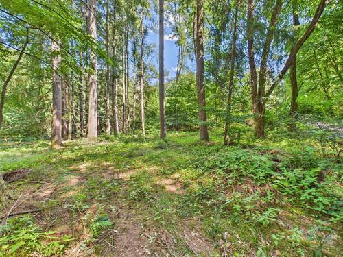 Bild 3 - Grundstück in Schmelz