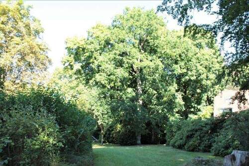 Impressionen aus der Parkanlage - 