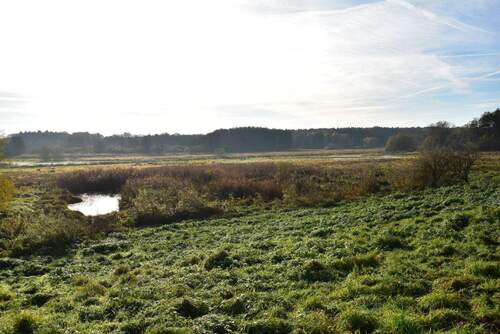 Morgensonne über dem Billetal.jpg - Grundstück zum Kaufen in Trittau