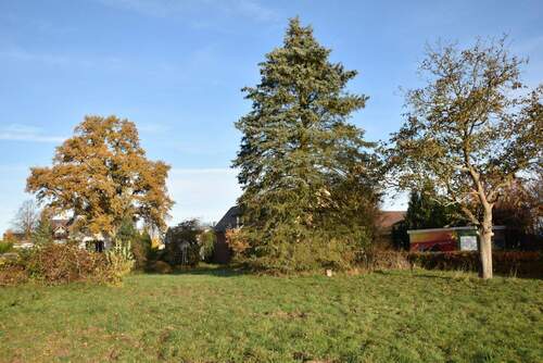 Baugrundstück Ansicht vom Billetal.jpg - 