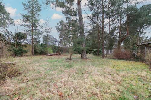 Vorderer Grundstücksbereich - 