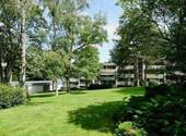 Grünanlage/Alter Baumbestand - 3 Zimmer Etagenwohnung zur Miete in Mönchengladbach