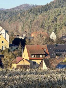 Bild 2 - 6 Zimmer Doppelhaushälfte zum Kaufen in Neukirchen