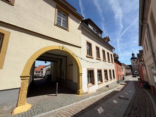 Ansicht Straße zum Haus - 6 Zimmer Mehrfamilienhaus, Wohnhaus zum Kaufen in Kirchheimbolanden