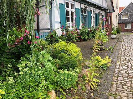Gartenbereich - Mehrfamilienhaus, Wohnhaus mit 120,00 m² in Freiburg (Elbe) zum Kaufen