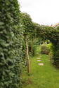 Bild 11 - 