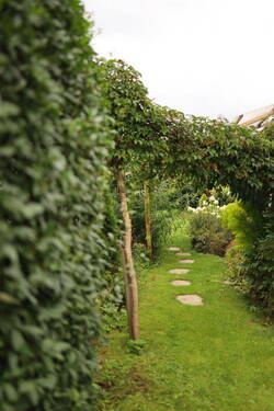 Bild 11 - 