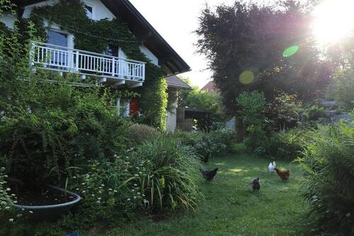 Südseite im Juni - Wohnhaus mit traumhaft eingewachsenem Garten und altem Baumbestand in Marktoberdorf