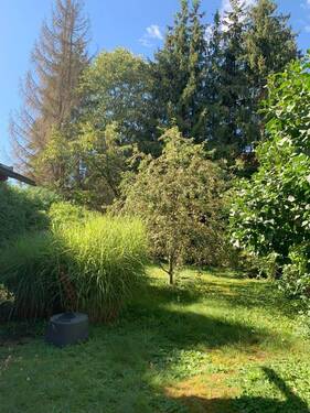 Garten - 5 Zimmer Doppelhaushälfte in München