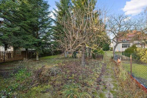 Blick in den Garten - 