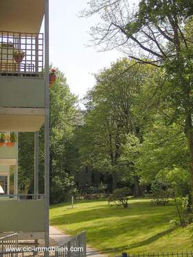 großes grünes Grundstück - 